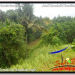 JUAL MURAH TANAH di UBUD 27 Are View Tebing dan Sungai