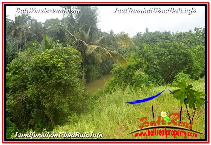 JUAL MURAH TANAH di UBUD 27 Are View Tebing dan Sungai