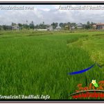 JUAL TANAH di UBUD 5,569 m2 View Sawah dan Sungai Kecil