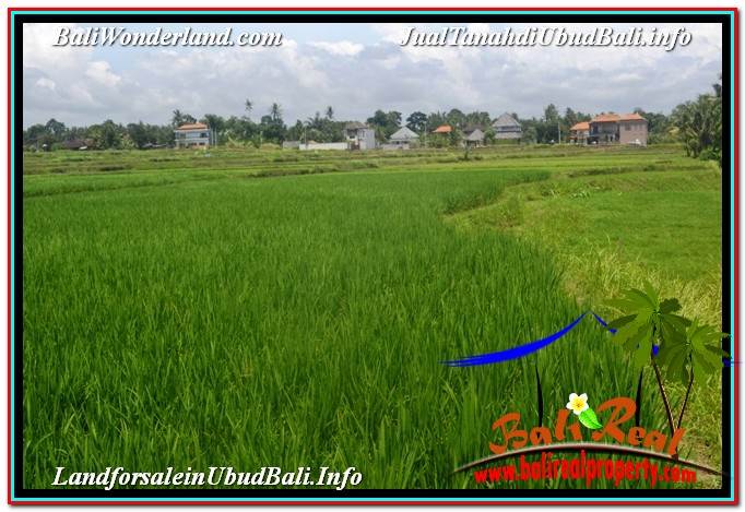 JUAL TANAH di UBUD 5,569 m2 View Sawah dan Sungai Kecil