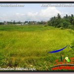 JUAL TANAH di UBUD 5,569 m2 View Sawah dan Sungai Kecil