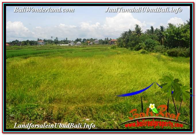 JUAL TANAH di UBUD 5,569 m2 View Sawah dan Sungai Kecil