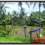 JUAL TANAH di UBUD 5,569 m2 View Sawah dan Sungai Kecil