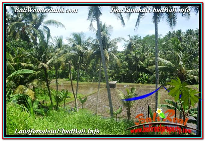 JUAL TANAH di UBUD 5,569 m2 View Sawah dan Sungai Kecil