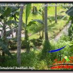 JUAL TANAH di UBUD 5,569 m2 View Sawah dan Sungai Kecil