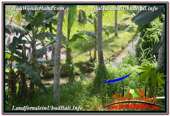 JUAL TANAH di UBUD 5,569 m2 View Sawah dan Sungai Kecil