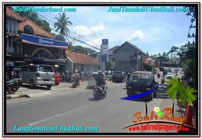 TANAH di UBUD DIJUAL MURAH TJUB643