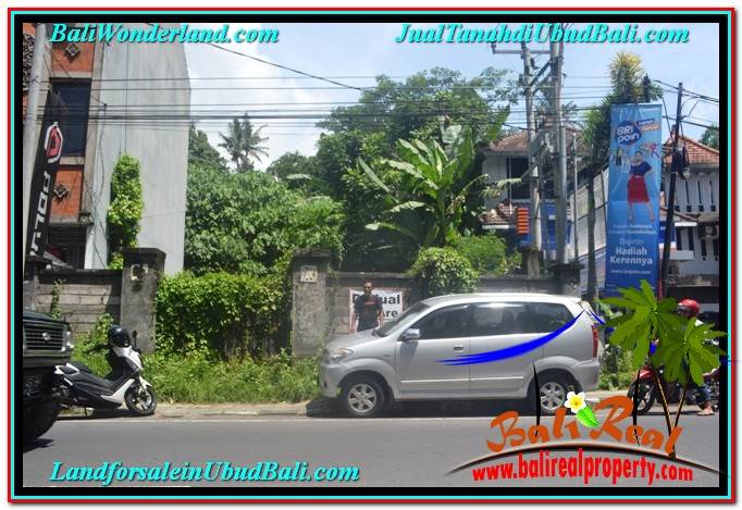 TANAH di UBUD DIJUAL MURAH TJUB643