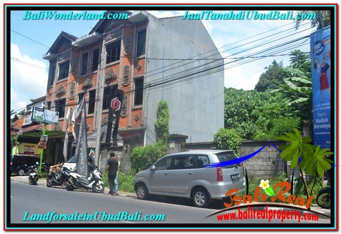 TANAH di UBUD DIJUAL MURAH TJUB643