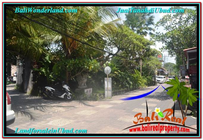 JUAL TANAH MURAH di UBUD BALI Untuk INVESTASI TJUB644