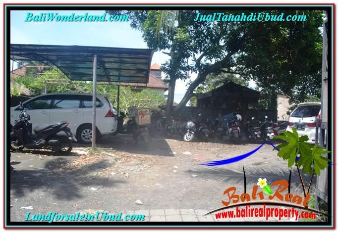 JUAL TANAH MURAH di UBUD BALI Untuk INVESTASI TJUB644