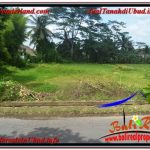 JUAL TANAH di UBUD BALI Untuk INVESTASI TJUB645