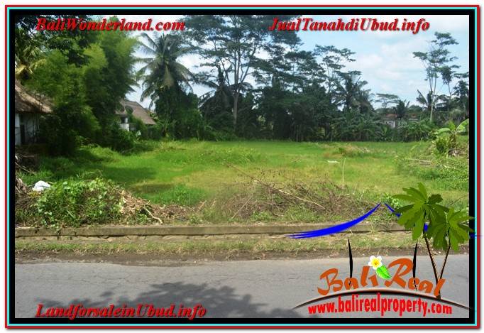 JUAL TANAH di UBUD BALI Untuk INVESTASI TJUB645