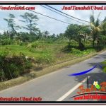 JUAL TANAH di UBUD BALI Untuk INVESTASI TJUB645