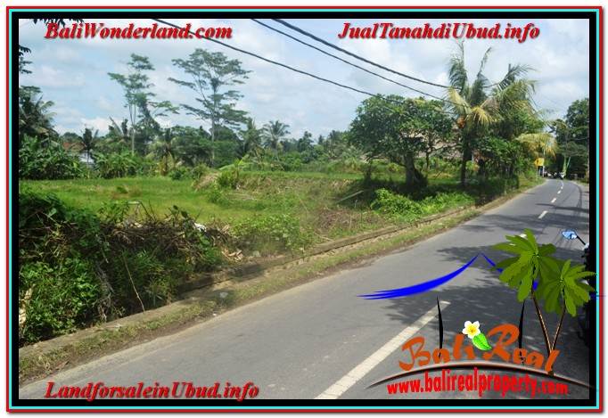 JUAL TANAH di UBUD BALI Untuk INVESTASI TJUB645