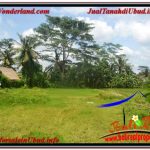 JUAL TANAH di UBUD BALI Untuk INVESTASI TJUB645