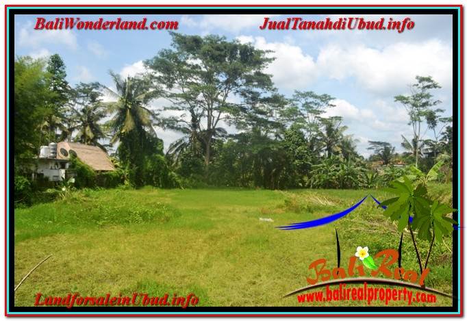 JUAL TANAH di UBUD BALI Untuk INVESTASI TJUB645