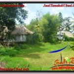 JUAL TANAH di UBUD BALI Untuk INVESTASI TJUB645