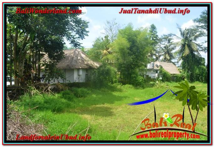 JUAL TANAH di UBUD BALI Untuk INVESTASI TJUB645