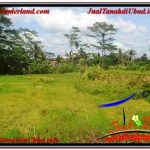 JUAL TANAH di UBUD BALI Untuk INVESTASI TJUB645