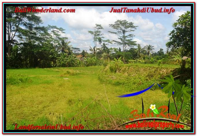 JUAL TANAH di UBUD BALI Untuk INVESTASI TJUB645