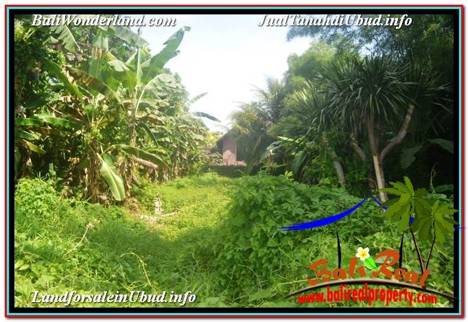 INVESTASI PROPERTI, TANAH DIJUAL MURAH di UBUD TJUB646