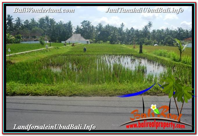 INVESTASI PROPERTI, TANAH MURAH DIJUAL di UBUD TJUB647