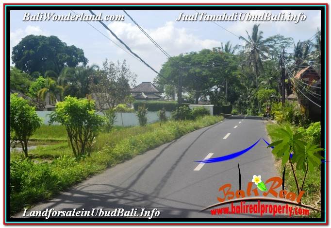 INVESTASI PROPERTI, TANAH MURAH DIJUAL di UBUD TJUB647