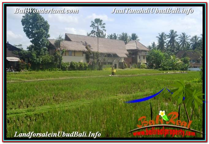 INVESTASI PROPERTI, TANAH MURAH DIJUAL di UBUD TJUB647