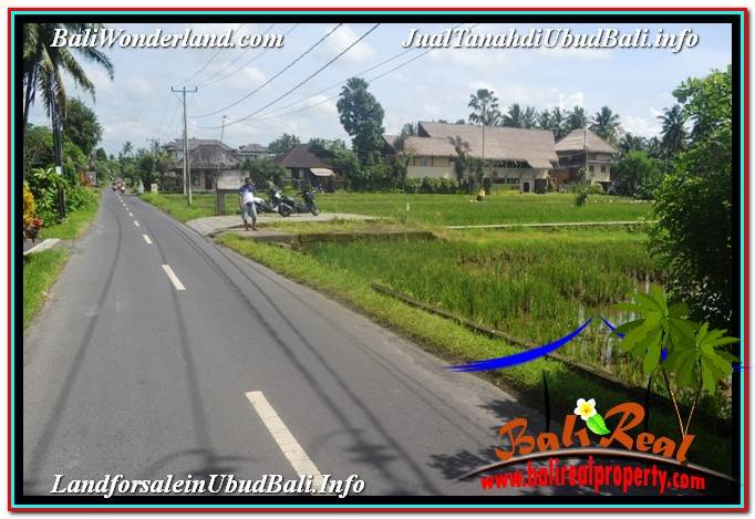 INVESTASI PROPERTI, TANAH MURAH DIJUAL di UBUD TJUB647