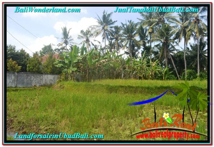 INVESTASI PROPERTI, TANAH DIJUAL MURAH di UBUD TJUB648