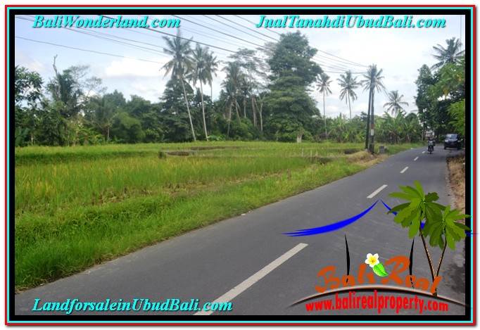 INVESTASI PROPERTI, TANAH DIJUAL MURAH di UBUD TJUB648