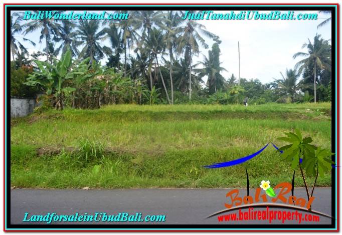 INVESTASI PROPERTI, TANAH DIJUAL MURAH di UBUD TJUB648