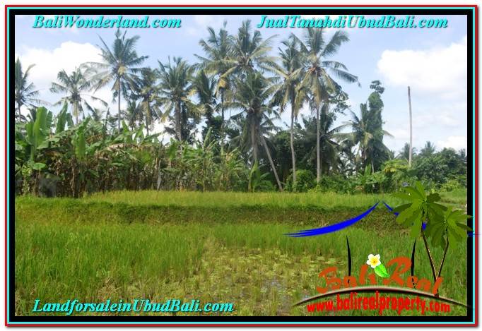 INVESTASI PROPERTI, TANAH DIJUAL MURAH di UBUD TJUB648