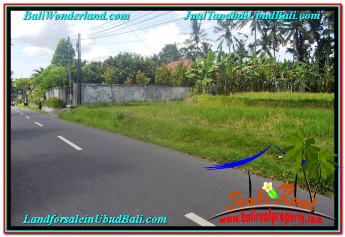 INVESTASI PROPERTI, TANAH DIJUAL MURAH di UBUD TJUB648