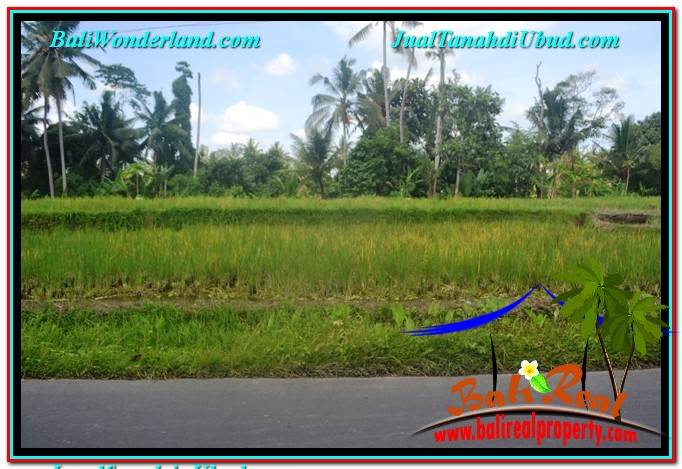 TANAH MURAH di UBUD BALI DIJUAL 1,000 m2 View Sawah dan Sungai Kecil, Link. Villa