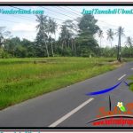 TANAH MURAH di UBUD BALI DIJUAL 1,000 m2 View Sawah dan Sungai Kecil, Link. Villa