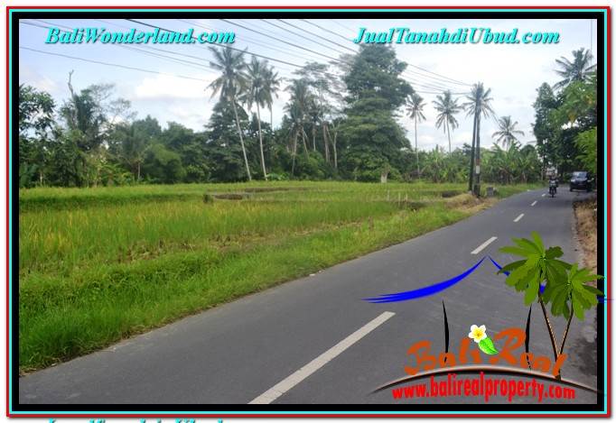 TANAH MURAH di UBUD BALI DIJUAL 1,000 m2 View Sawah dan Sungai Kecil, Link. Villa