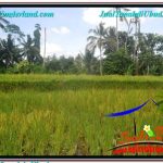 TANAH MURAH di UBUD BALI DIJUAL 1,000 m2 View Sawah dan Sungai Kecil, Link. Villa