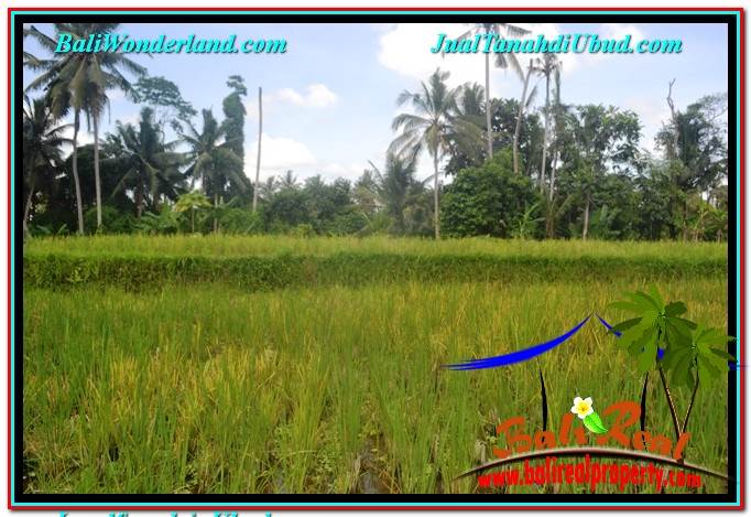 TANAH MURAH di UBUD BALI DIJUAL 1,000 m2 View Sawah dan Sungai Kecil, Link. Villa