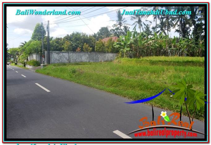 TANAH MURAH di UBUD BALI DIJUAL 1,000 m2 View Sawah dan Sungai Kecil, Link. Villa