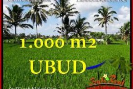 TANAH MURAH di UBUD JUAL 3,400 m2 View Sawah link Villa