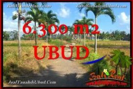 TANAH di UBUD DIJUAL 63 Are di Sentral Ubud