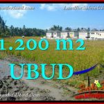 INVESTASI PROPERTI, DIJUAL TANAH di UBUD TJUB663