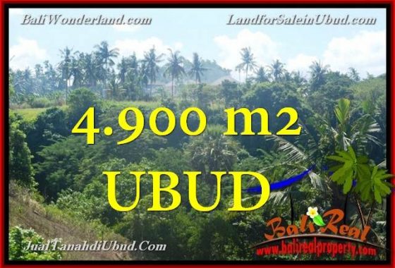 JUAL TANAH MURAH di UBUD 4,900 m2 View Tebing dan sungai