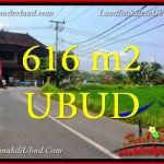 JUAL TANAH MURAH di UBUD BALI 616 m2 View Sawah link Villa