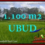 JUAL TANAH di UBUD 1,100 m2 View Sawah link Villa