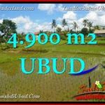 TANAH MURAH di UBUD Untuk INVESTASI TJUB652