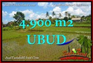 TANAH MURAH di UBUD Untuk INVESTASI TJUB652