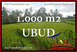 JUAL TANAH MURAH di UBUD 10 Are di Ubud Tegalalang